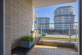 Picture77 639097024032575804